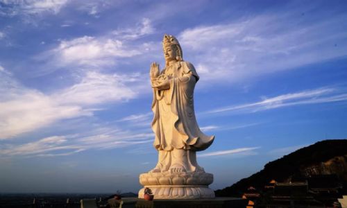 �����������������������Ӧ�����������¸������