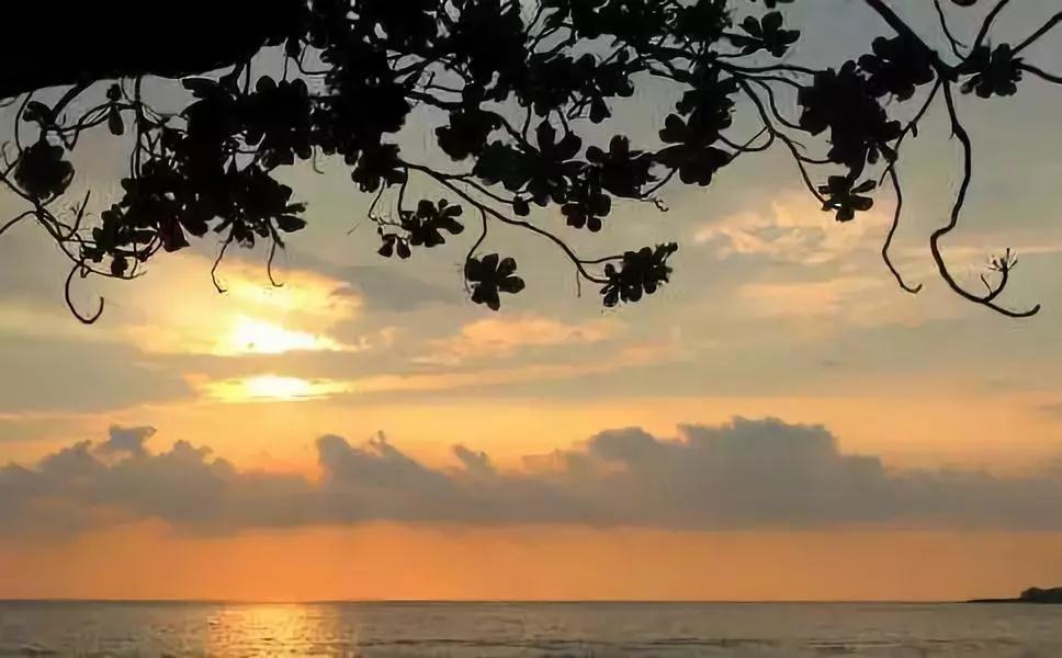 һ�ᵽ�𷨣�ֻ֪һ���ţ��Ƿ𷨾�����