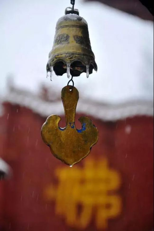 һ�ᵽ�𷨣�ֻ֪һ���ţ��Ƿ𷨾�����