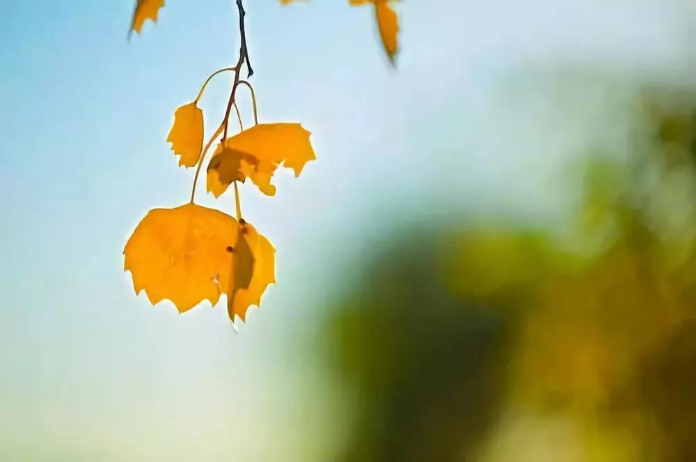 ��˵�������²��ܳ��ã����ֺο����ִ�ţ�