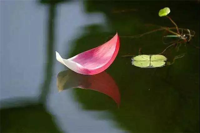 ��ʦ��˵����Щ������䴥������