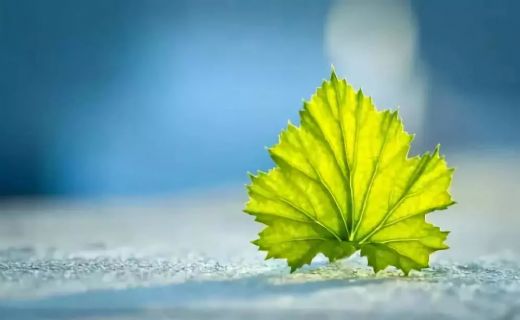 ����֮�䶮��Ե���벻�������ѣ�