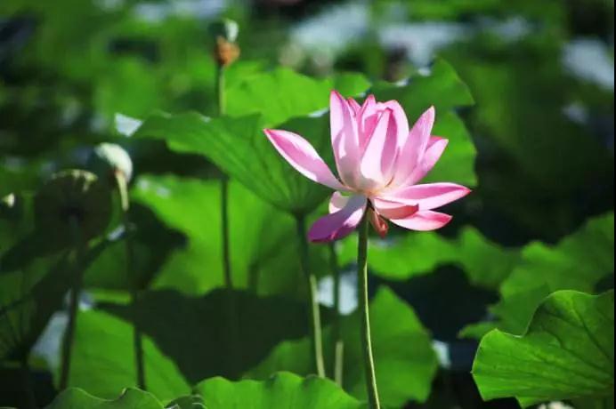 ����վ����н�3���֣����������������У�