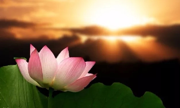 �������ܣ�ÿ��һ�����ģ����������ȶ��Ὺ