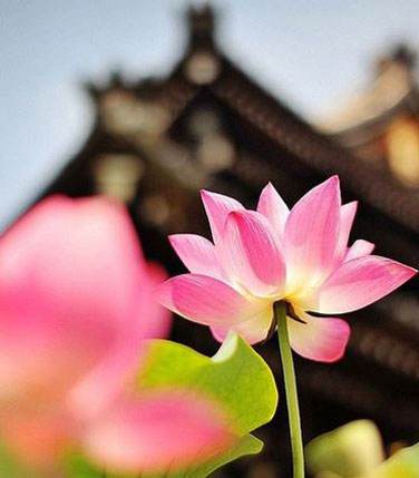 �ϻ�誣������ĸ���ȥ���ɷ�һ�뻹���࣡