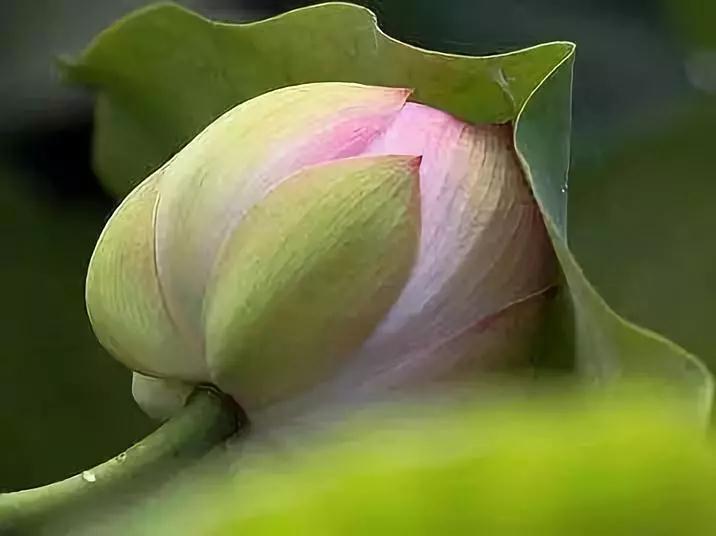 原来善恶因果也是可以看到的! 原来善恶因果也是可以看到的!