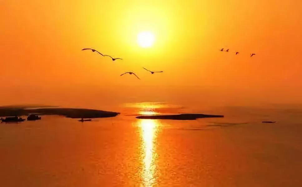 ��ܶ����,ûʲô��Ӧ��������������ô��