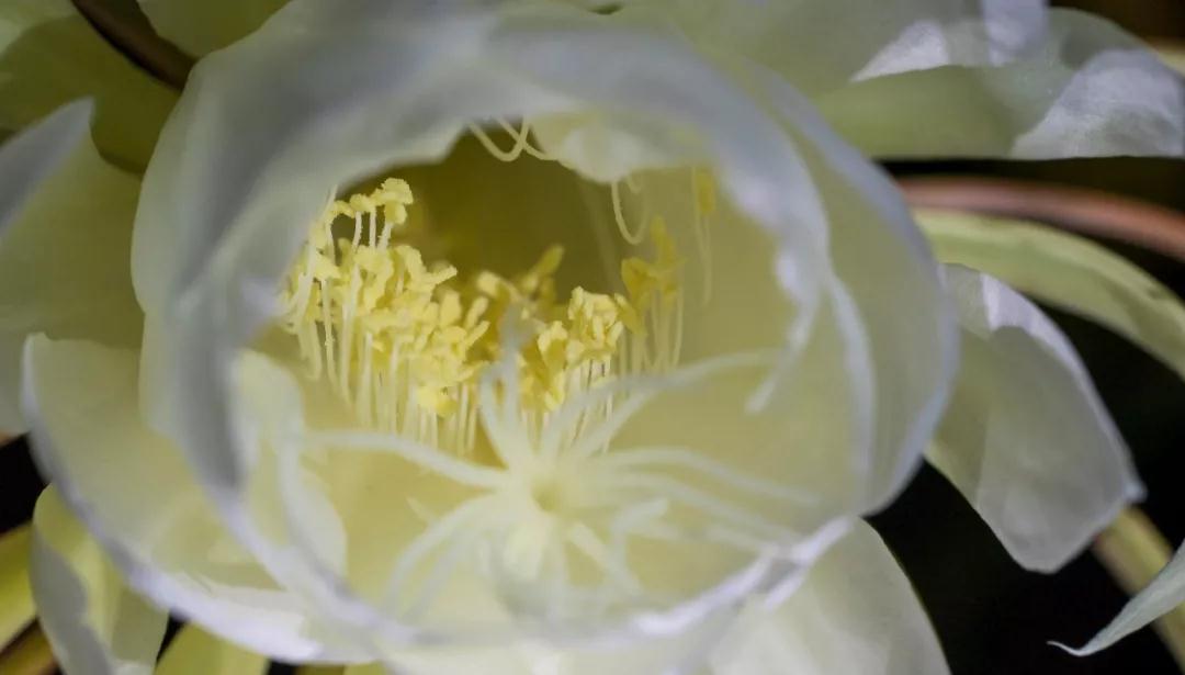 ҵ���أ����������Լ��ģ�����ȥָ�����