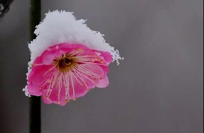 �����澳��ת�䣬ǡ���Ե±�Թʱ