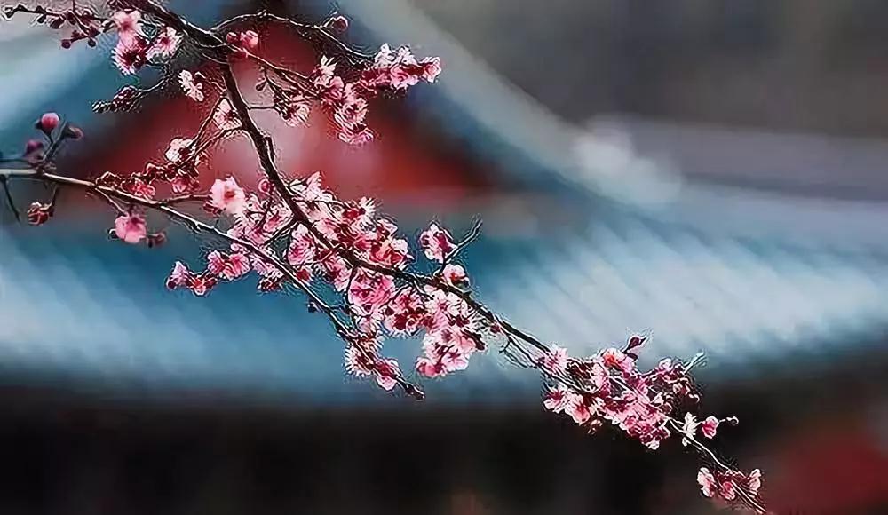 ������ܴ�ʦ�����仰�����㿴���������࣡