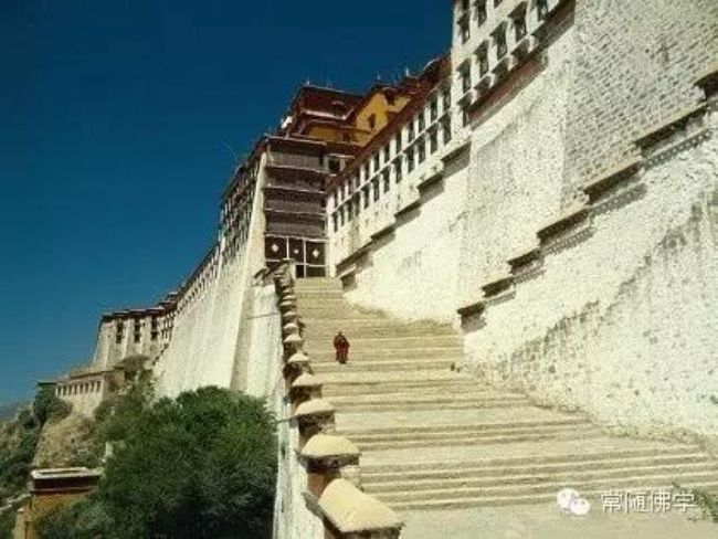 �����ͨǰ������_��������żȻ