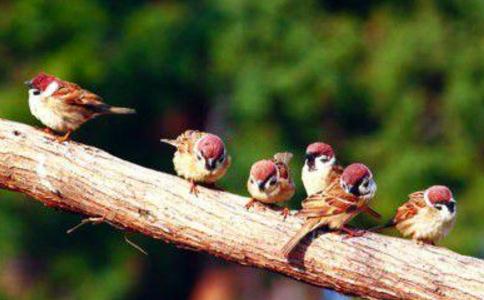 ������£������ѵĹ���