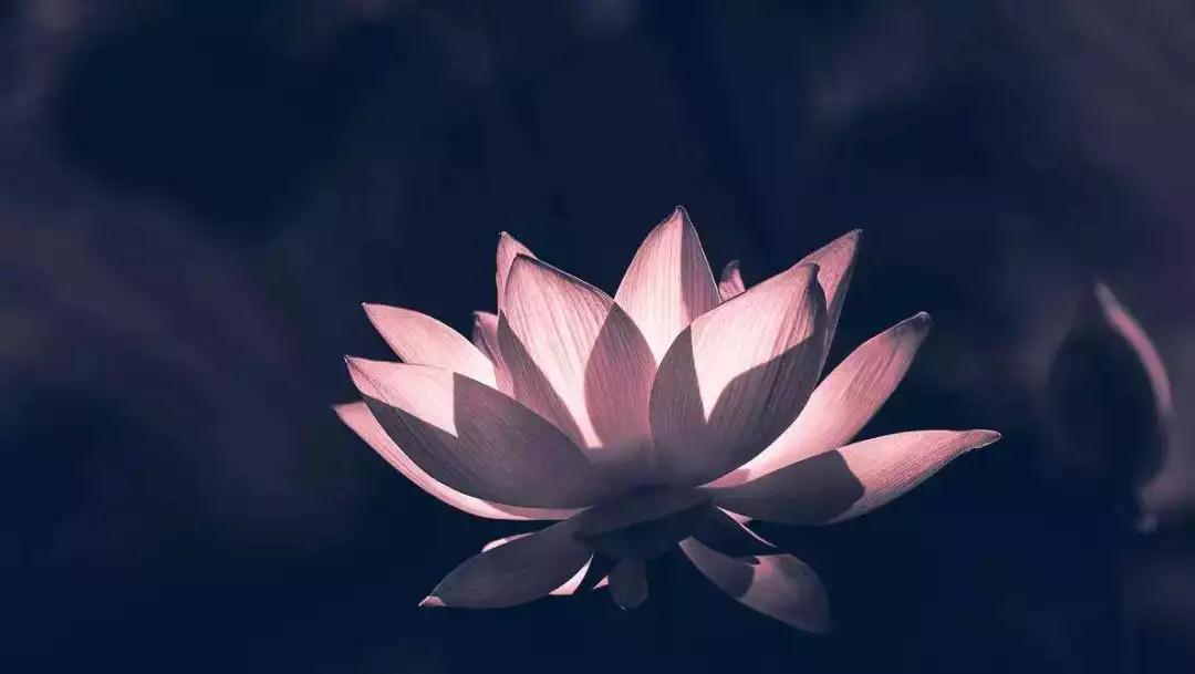 �����ޱߵ������Ӻζ�������ʦ�÷𾭵ļ��ظ����㣡