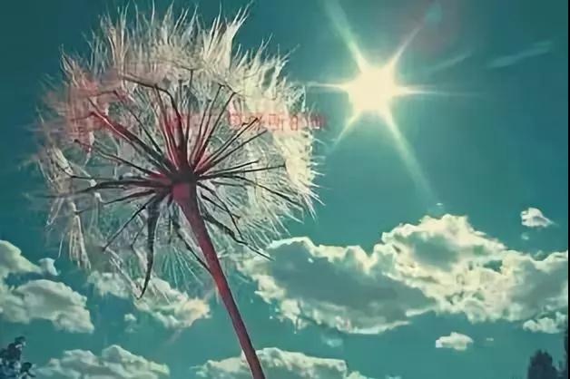 福报也会使你造业?牢记这点很重要 福报也会使你造业?牢记这点很重要