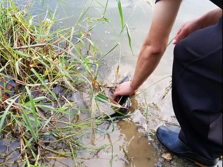 ����_|_��Ǯ�������˴����������Ļ��й�����?