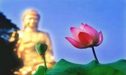 ������������Ҫ�ĲƸ�