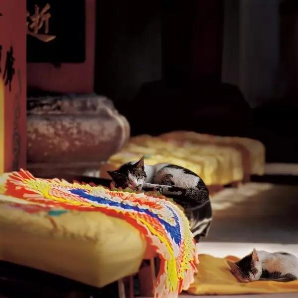 �������ȥ��Ժ��û�й�ע�����Ȼ�����̺��ŷ𷨵Ĵ��ǻۣ�