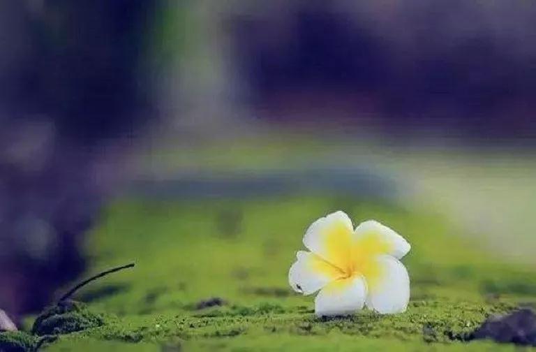 ���������˻��ǲ�˳�����¶�ȥ���ˣ�