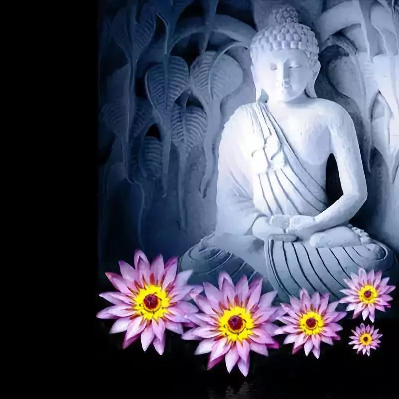 ӡ�ⷨʦ�����һ���������ߣ���������