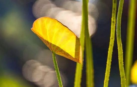 ��������ҵ�ϵ��ٶȾ����ˮ����