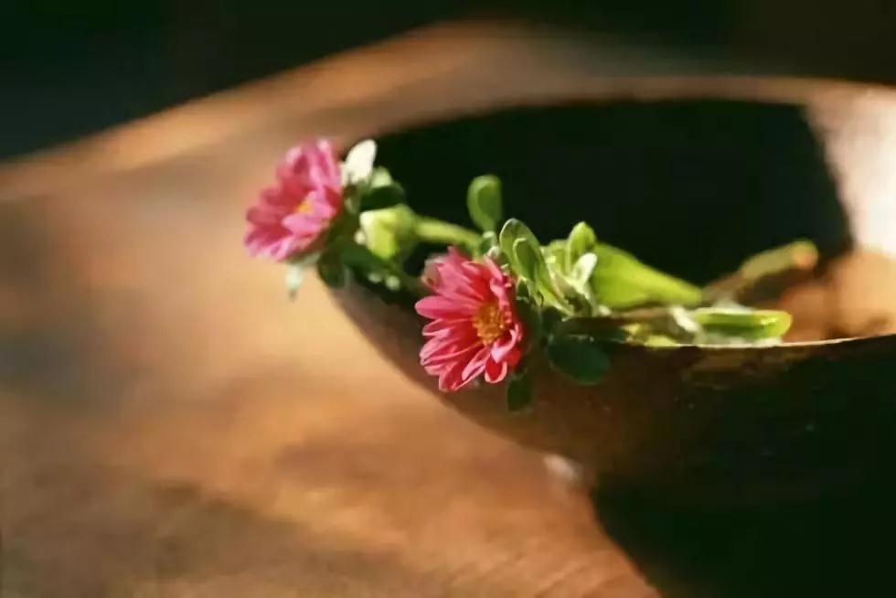 ���⣬��֮���У�Ϊʲô��ô˵��