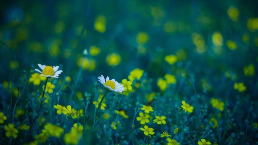 ӡ�ⷨʦ����֮���壬ʧ֮ǧ��