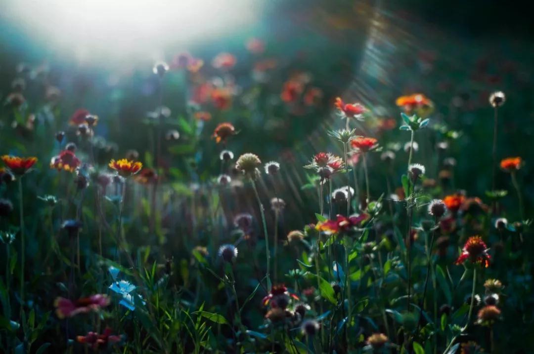 ѧ���˶�Ӧ�μǵ�������