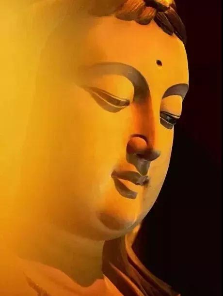 ˵�������������ŷ����ţ�