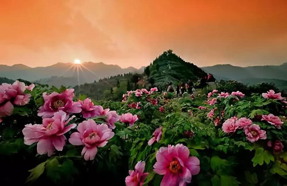 ���������£������ڶ���