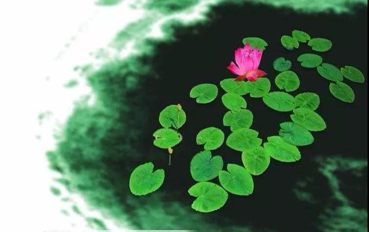 �����İ�������ޣ����Ƿ𷨸����Ĵ�