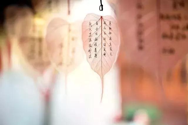 ѧ����ô���꣬ԭ�����Ǹ����پ�ʿ������