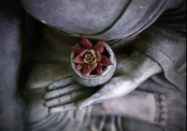 ѧ����ô���꣬ԭ�����Ǹ����پ�ʿ������