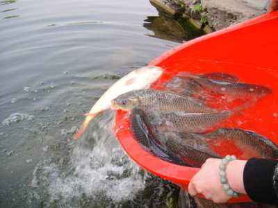 �ҷ���������ô���꣬������Ϊ��ʲô��