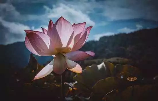 ���Ｊ�������ڼҷ��ͽ����������