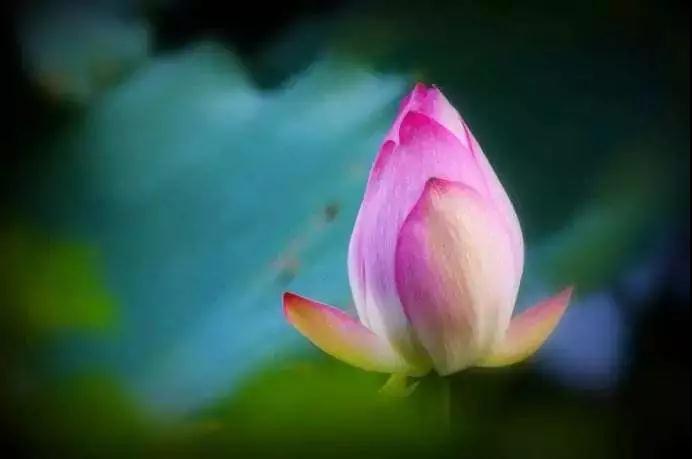 �������ڱ�ĵط������ڴ�ʱ�����ڴ˵أ����ڴ��ģ�