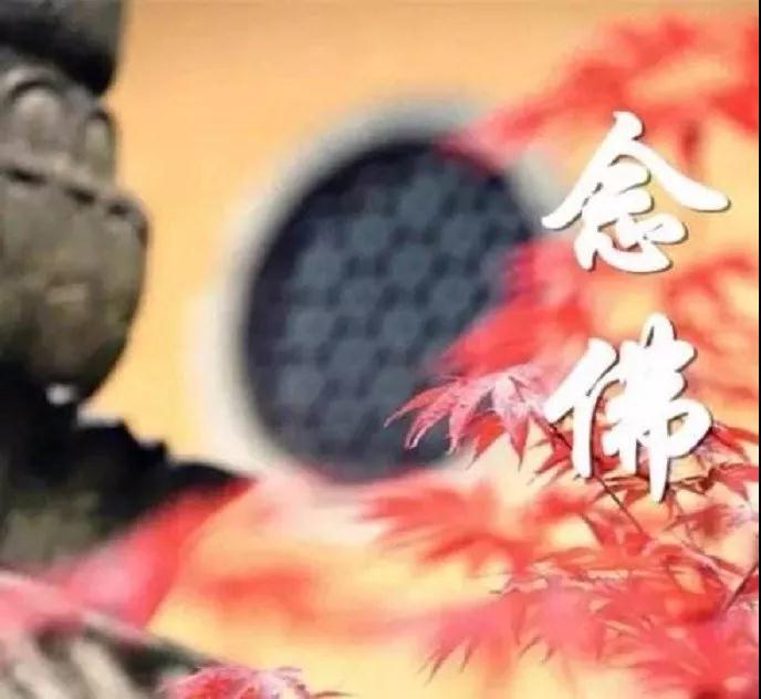 念佛人的一天应该这样度过 念佛人的一天应该这样度过