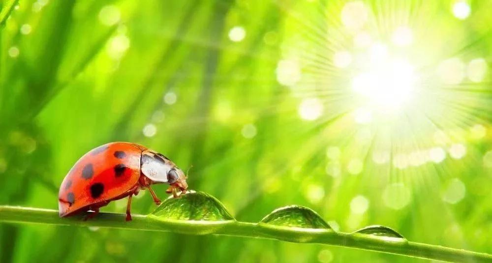 ���-����-�ȾƵĹ���