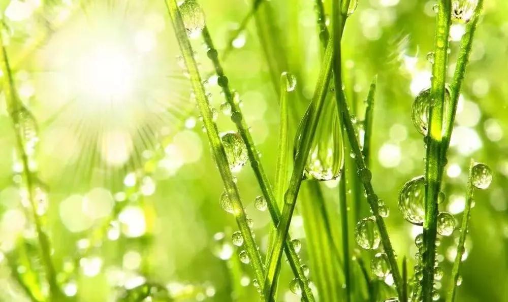 ���-����-�ȾƵĹ���