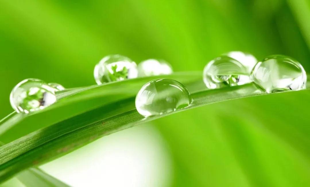 ���-����-�ȾƵĹ���