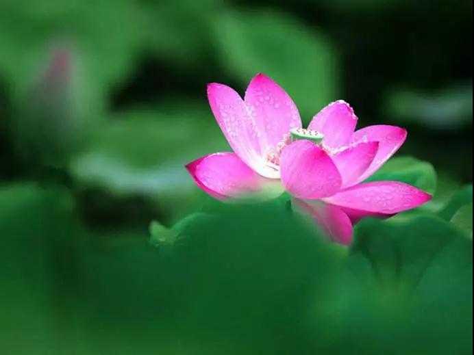 ����û�������ΪʲôҪѧ��