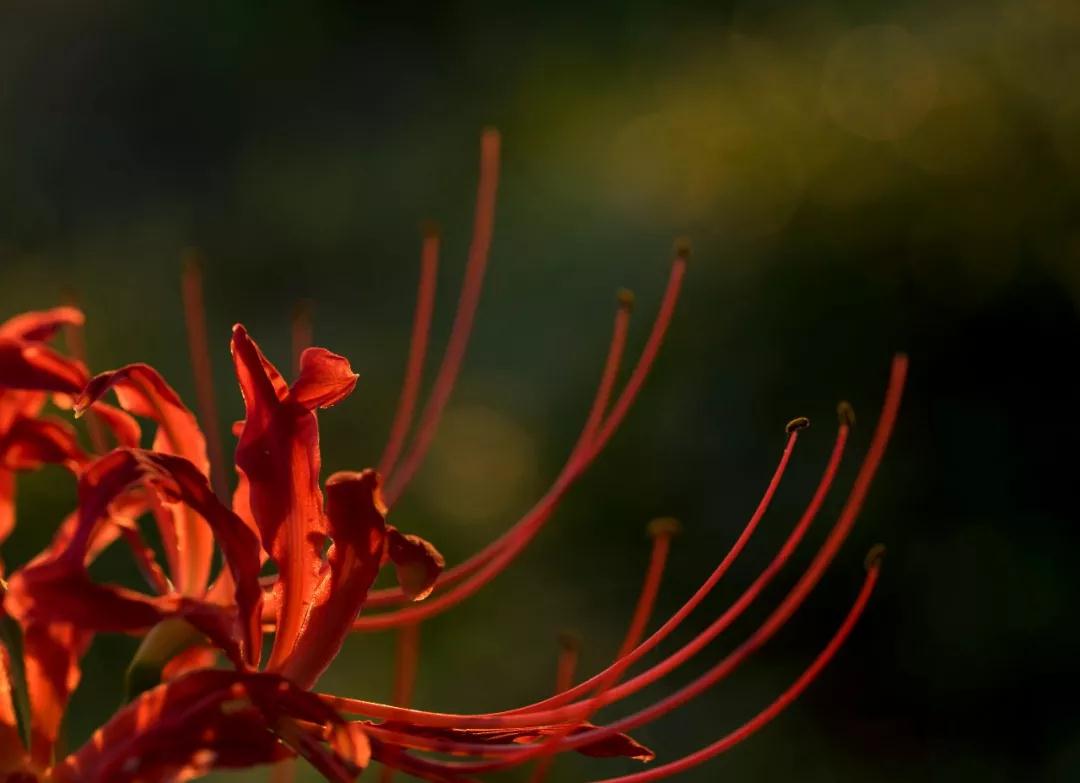 长期陪病人念佛得出的经验,很实用 长期陪病人念佛得出的经验,很实用