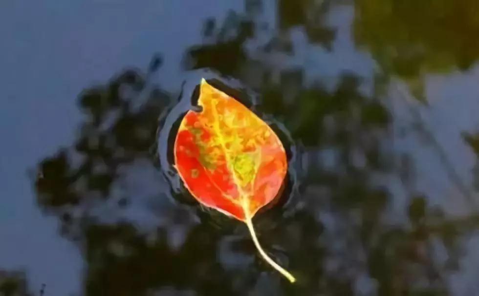 烦恼的事情那么多,根本的原因是没有智慧 烦恼的事情那么多,根本的原因是没有智慧