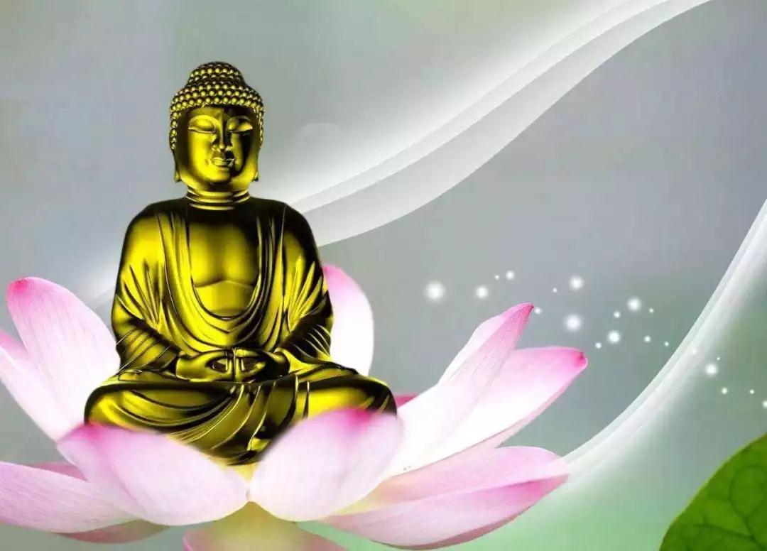 烦恼的事情那么多,根本的原因是没有智慧 烦恼的事情那么多,根本的原因是没有智慧