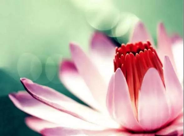 ����ҽʦ���Ѫ����ԩ��ծ�����������ҵù����������