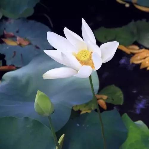 ӡ���ʦ����ʹֻΪƭǮ���Ҳ�����´��Ƹ���