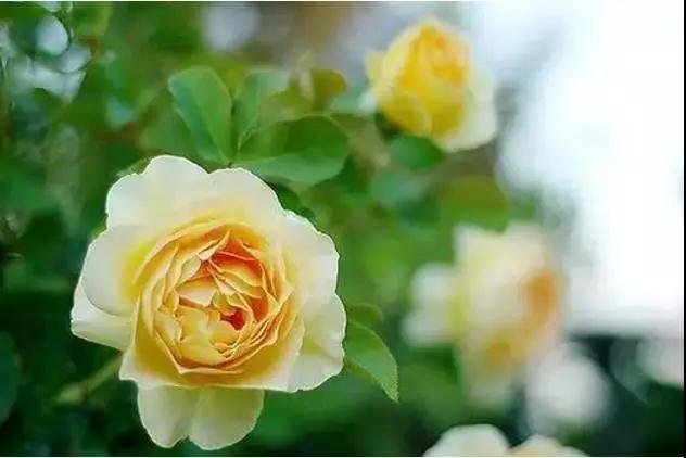 �����а��ֿ࣬��һ�ֿ��㶼�Ӳ�����