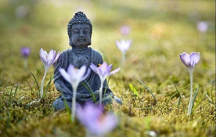 һ������Ҷ�������Ȼ��