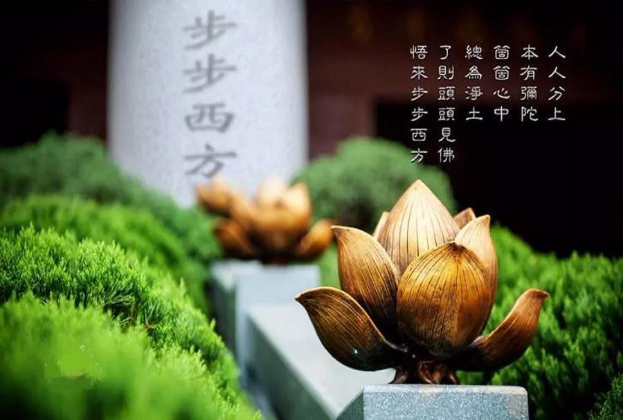 �������θ��Լ���һ��������Ŀ�ꣿ