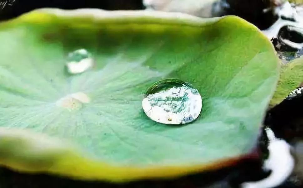 改变命运要从净化心念开始 改变命运要从净化心念开始