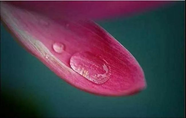 用什么样的心态念佛,可以决定往生? 用什么样的心态念佛,可以决定往生?